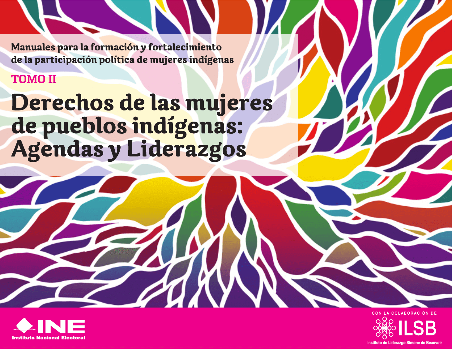 Derechos de las mujeres de pueblos indígenas: Agendas y liderazgos