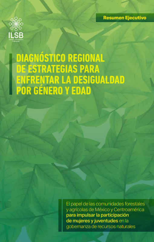 Diagnóstico regional de estrategias para enfrentar la desigualdad por género y edad