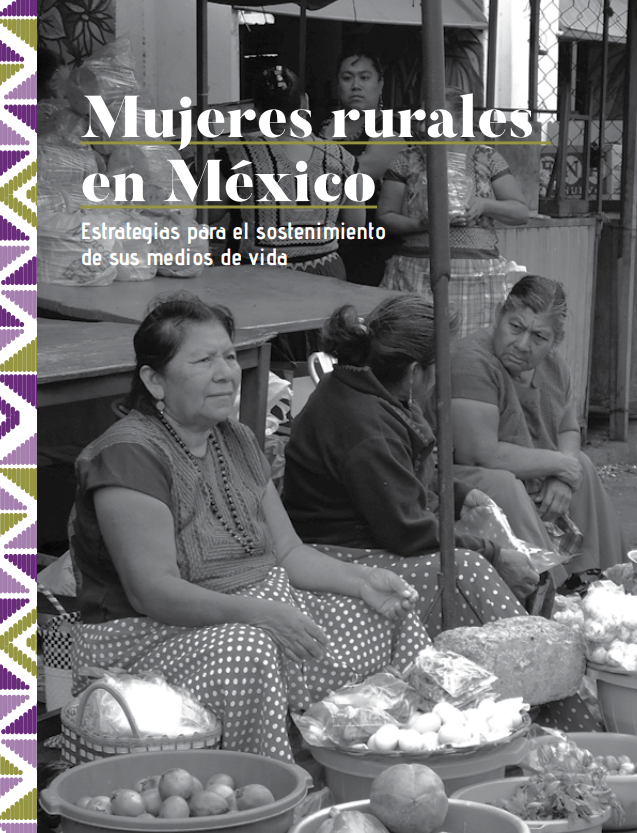 Mujeres rurales en México: Estrategias para el sostenimiento de sus medios de vida