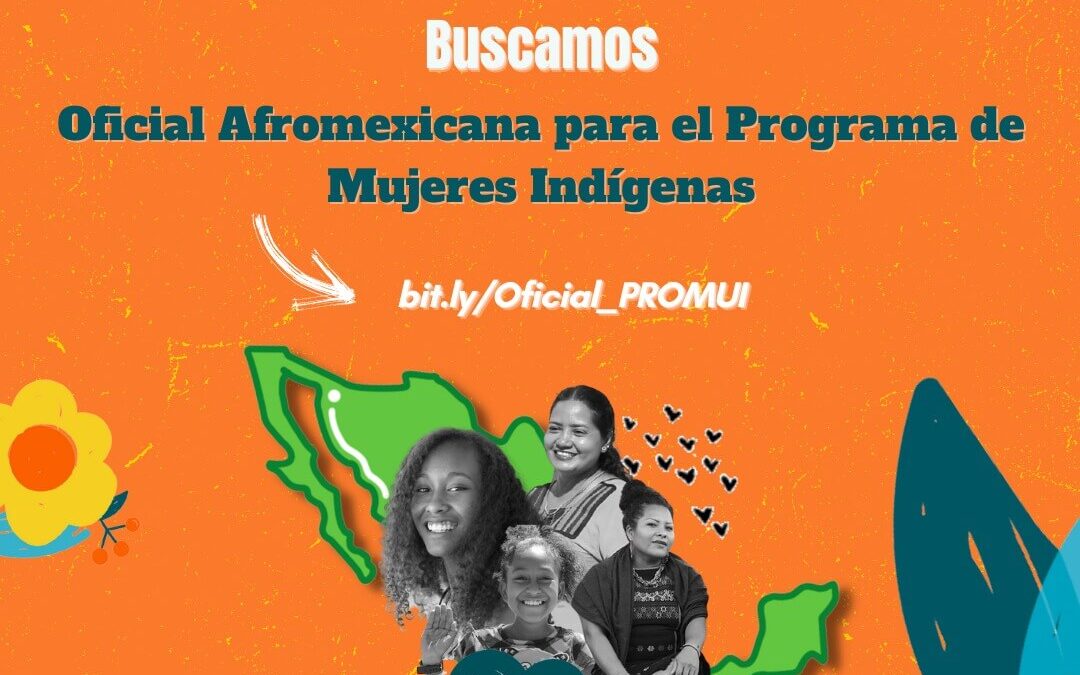 Convocatoria: Oficial del Programa de Mujeres Indígenas (PROMUI)