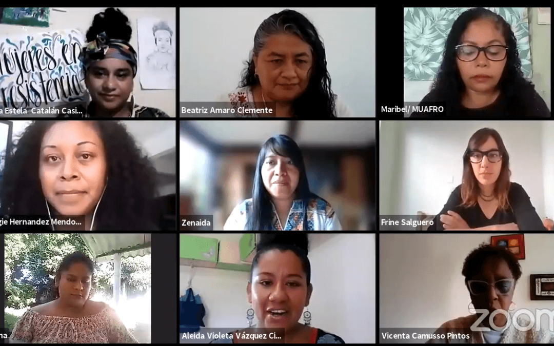 Mujeres Afromexicanas “Luchas y estrategias de resistencia colectiva”