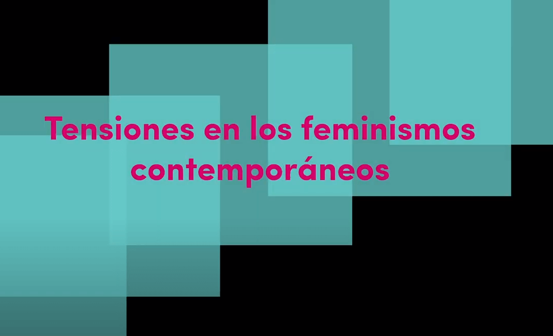 Escuela de formación política en feminismos subalternos- P.2 TENSIONES