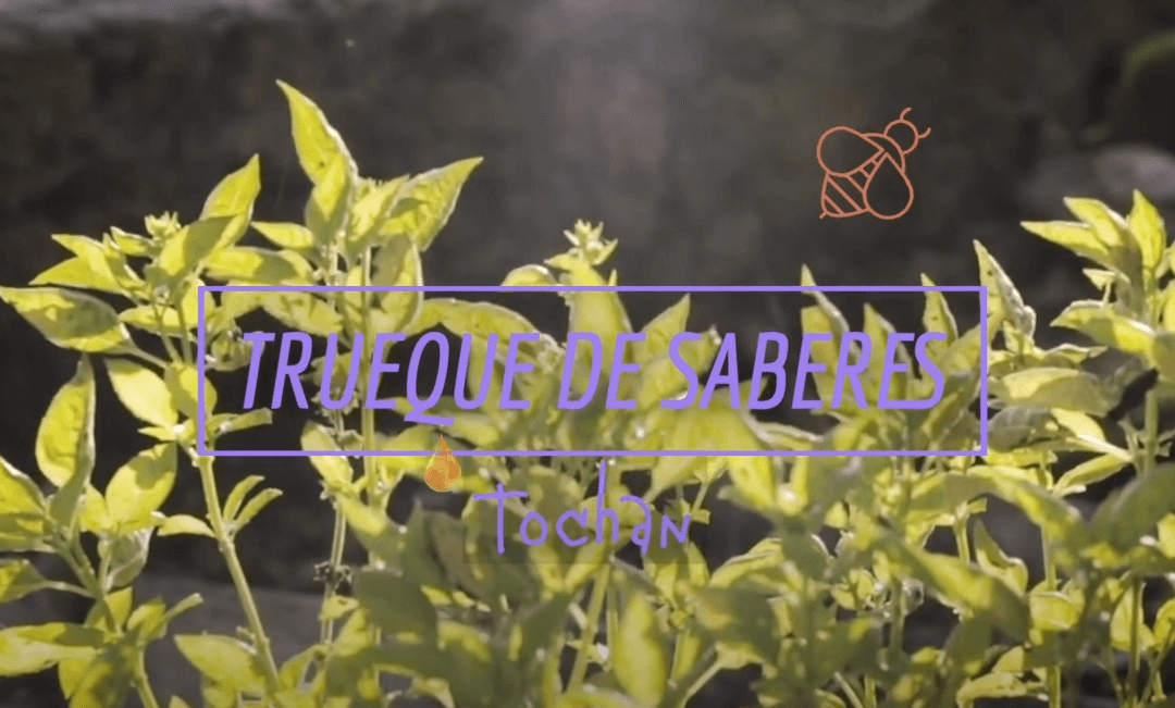 Trueque de Saberes – Tochan, nuestra casa