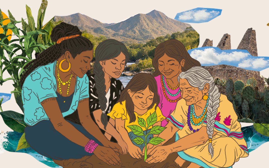 Sembrar acción colectiva: Formación a organizaciones, redes y colectivas de mujeres indígenas y afromexicanas